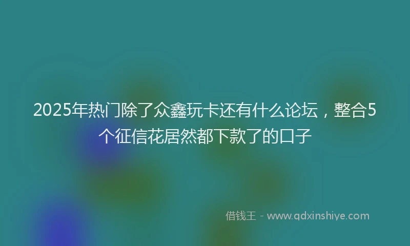 2025年热门除了众鑫玩卡还有什么论坛，整合5个征信花居然都下款了的口子