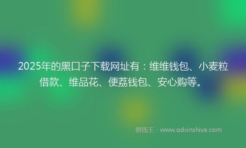 2025年的黑口子下载网址有：维维钱包、小麦粒借款、维品花、便荔钱包、安心购等。