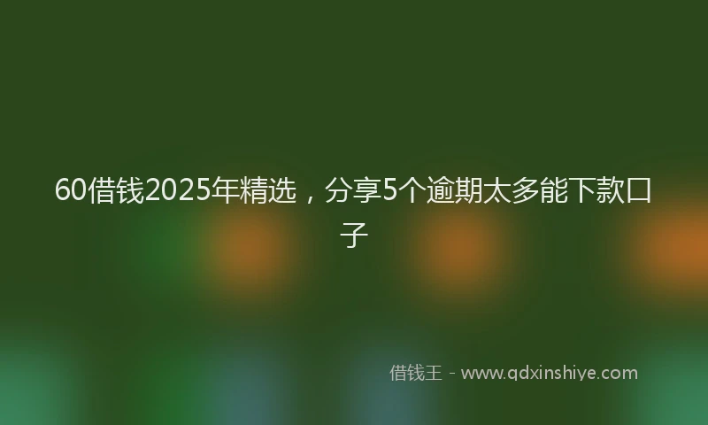 60借钱2025年精选，分享5个逾期太多能下款口子