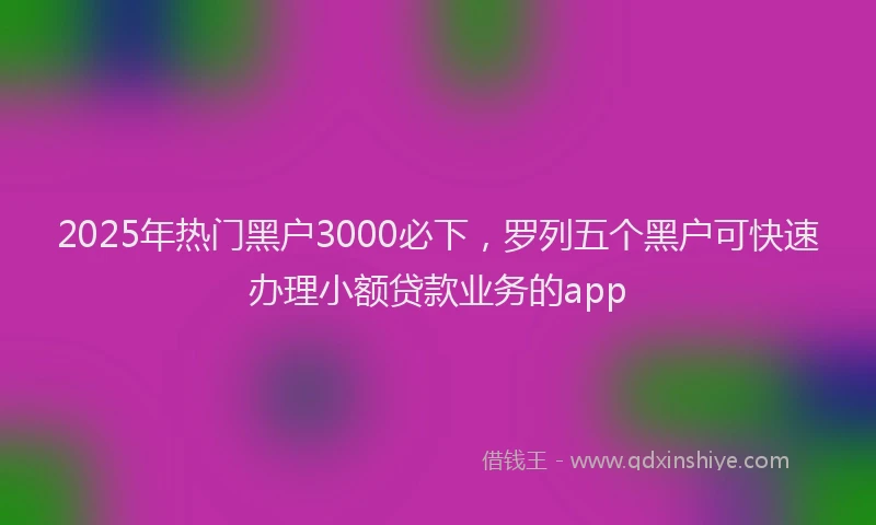 2025年热门黑户3000必下，罗列五个黑户可快速办理小额贷款业务的app