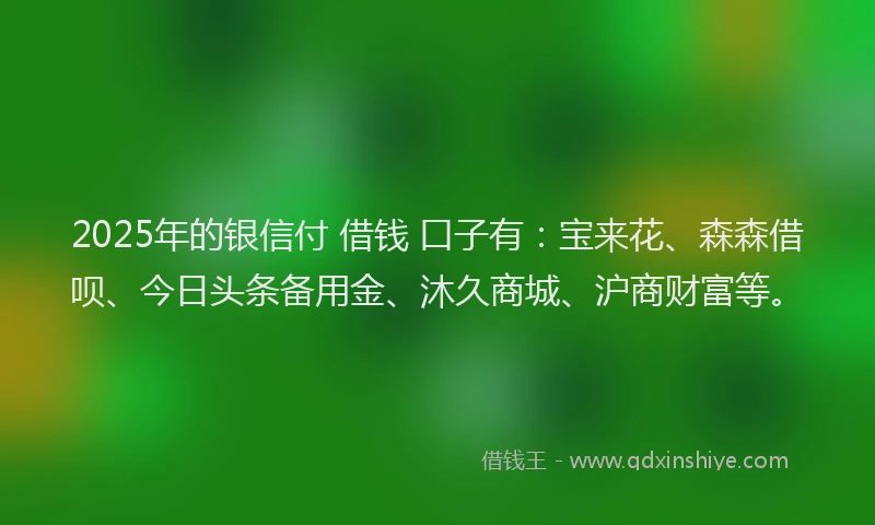 2025年的银信付 借钱 口子有：宝来花、森森借呗、今日头条备用金、沐久商城、沪商财富等。