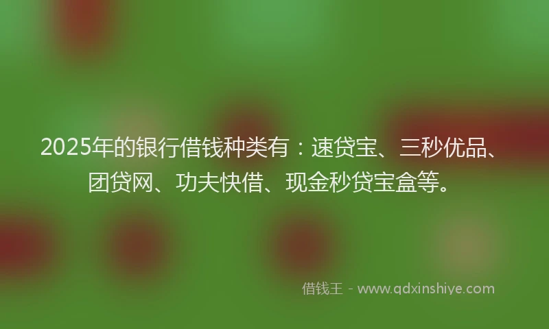 2025年的银行借钱种类有：速贷宝、三秒优品、团贷网、功夫快借、现金秒贷宝盒等。