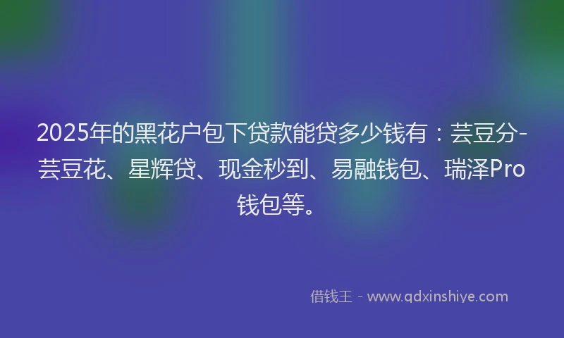 2025年的黑花户包下贷款能贷多少钱有：芸豆分-芸豆花、星辉贷、现金秒到、易融钱包、瑞泽Pro钱包等。