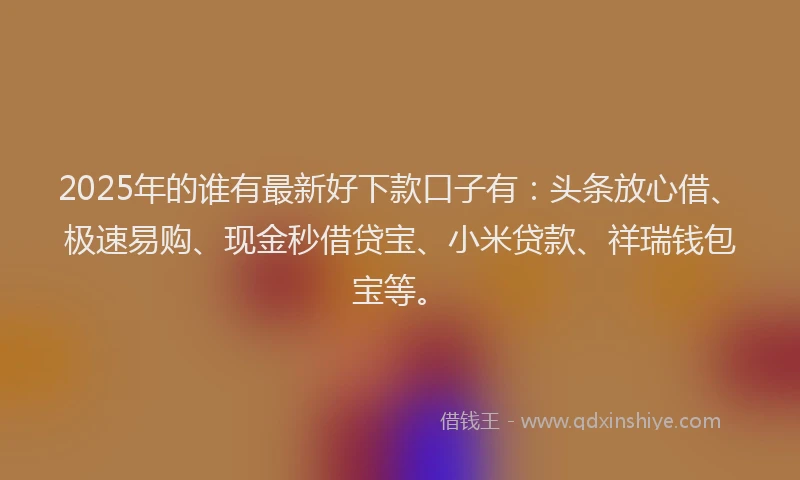 2025年的谁有最新好下款口子有：头条放心借、极速易购、现金秒借贷宝、小米贷款、祥瑞钱包宝等。