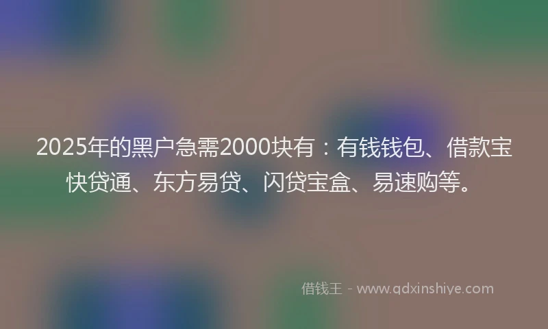 2025年的黑户急需2000块有：有钱钱包、借款宝快贷通、东方易贷、闪贷宝盒、易速购等。