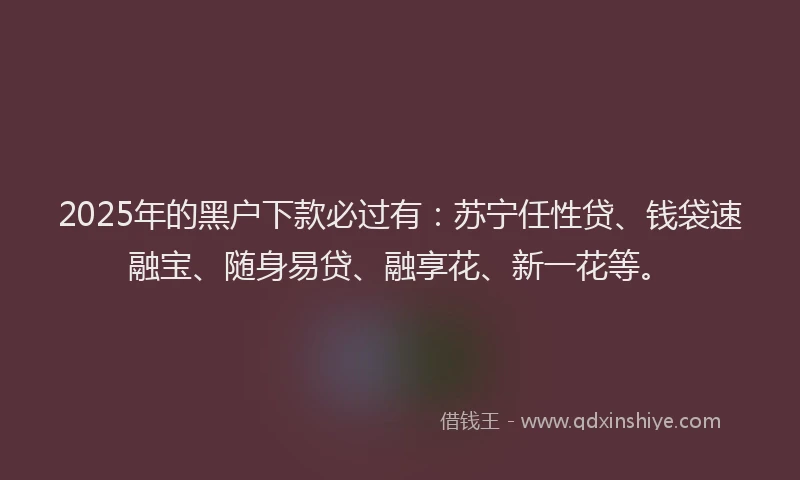2025年的黑户下款必过有:苏宁任性贷、钱袋速融宝、随身易贷、融享花、新一花等。