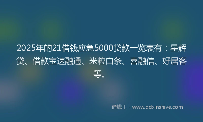 2025年的21借钱应急5000贷款一览表有：星辉贷、借款宝速融通、米粒白条、喜融信、好居客等。