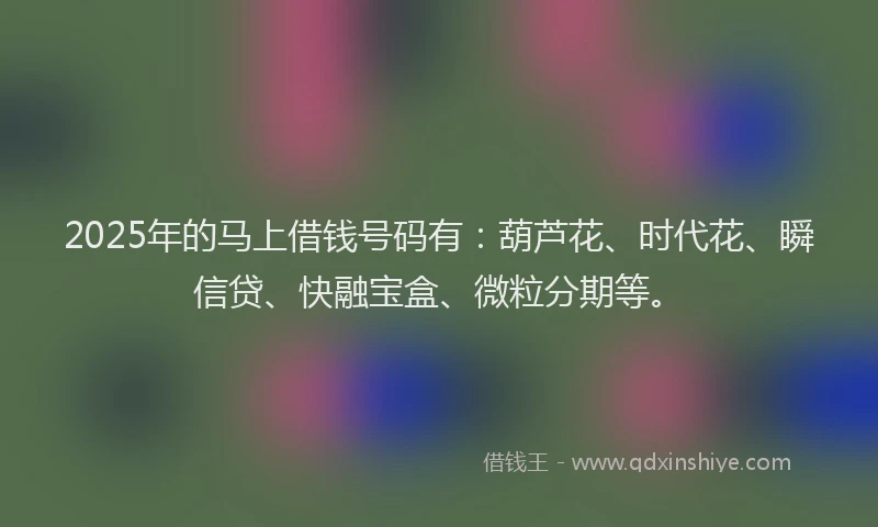 2025年的马上借钱号码有:葫芦花、时代花、瞬信贷、快融宝盒、微粒分期等。