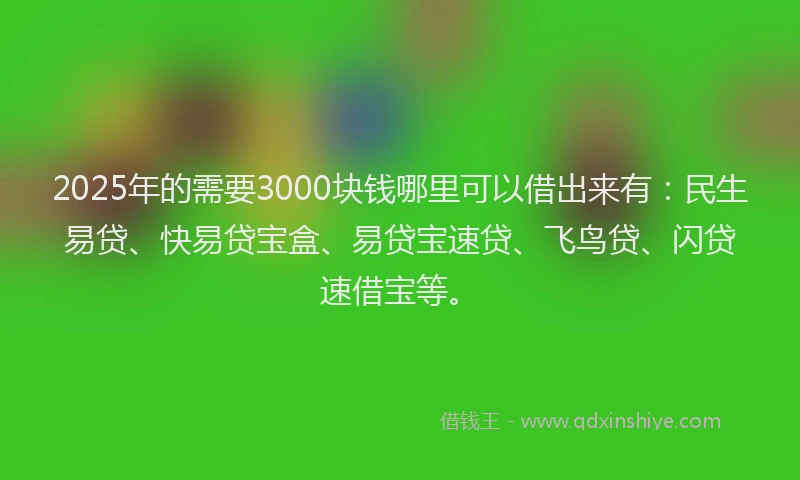 2025年的需要3000块钱哪里可以借出来有：民生易贷、快易贷宝盒、易贷宝速贷、飞鸟贷、闪贷速借宝等。