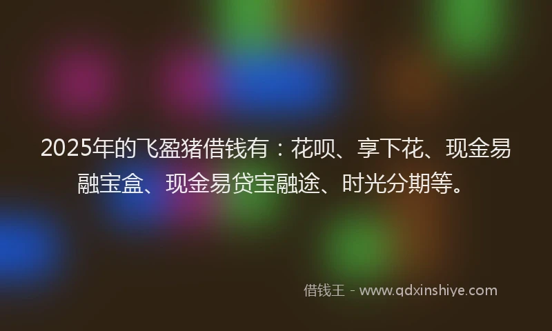 2025年的飞盈猪借钱有：花呗、享下花、现金易融宝盒、现金易贷宝融途、时光分期等。