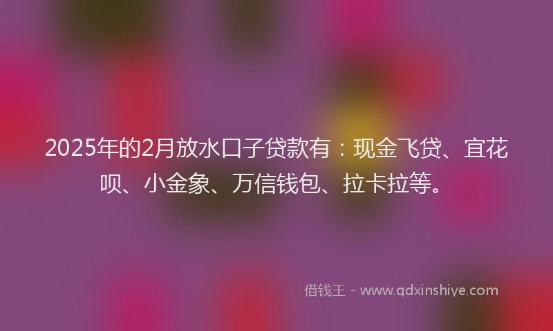 2025年的2月放水口子贷款有：现金飞贷、宜花呗、小金象、万信钱包、拉卡拉等。