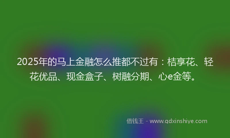 2025年的马上金融怎么推都不过有：桔享花、轻花优品、现金盒子、树融分期、心e金等。