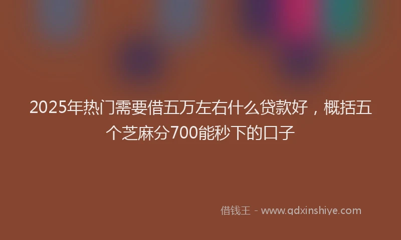 2025年热门需要借五万左右什么贷款好,概括五个芝麻分700能秒下的口子