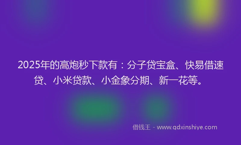 2025年的高炮秒下款有：分子贷宝盒、快易借速贷、小米贷款、小金象分期、新一花等。