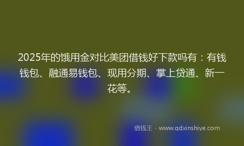 2025年的饿用金对比美团借钱好下款吗有：有钱钱包、融通易钱包、现用分期、掌上贷通、新一花等。