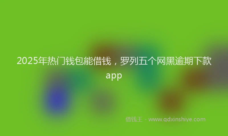 2025年热门钱包能借钱，罗列五个网黑逾期下款app