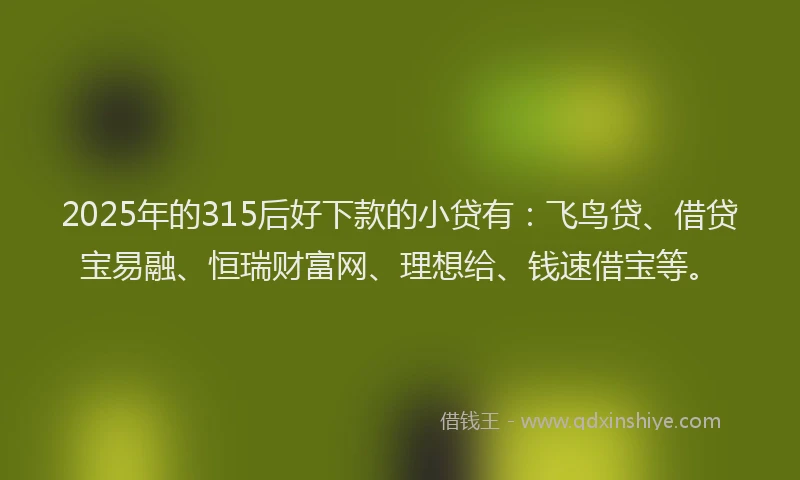 2025年的315后好下款的小贷有：飞鸟贷、借贷宝易融、恒瑞财富网、理想给、钱速借宝等。