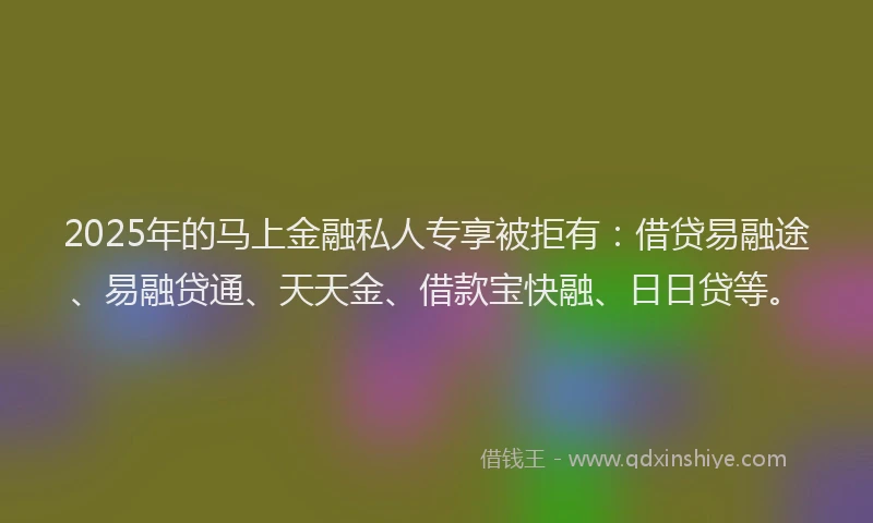 2025年的马上金融私人专享被拒有：借贷易融途、易融贷通、天天金、借款宝快融、日日贷等。