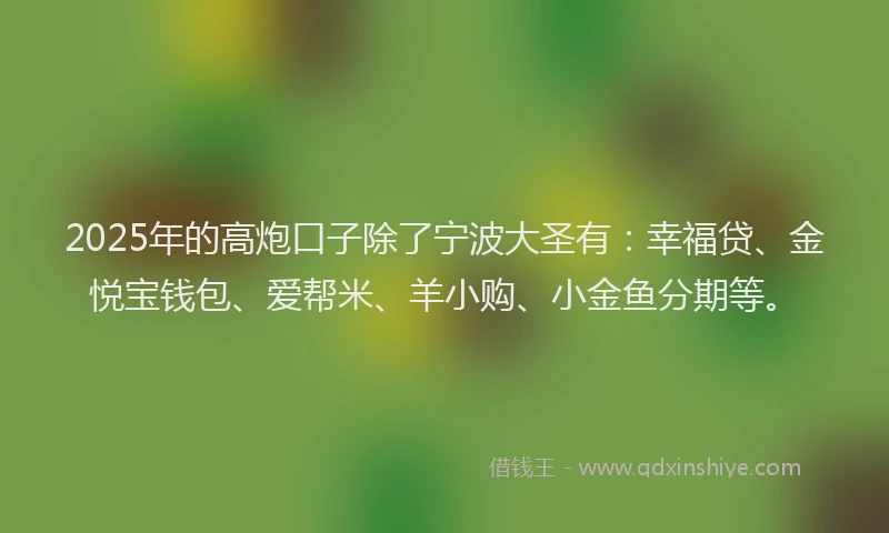 2025年的高炮口子除了宁波大圣有：幸福贷、金悦宝钱包、爱帮米、羊小购、小金鱼分期等。