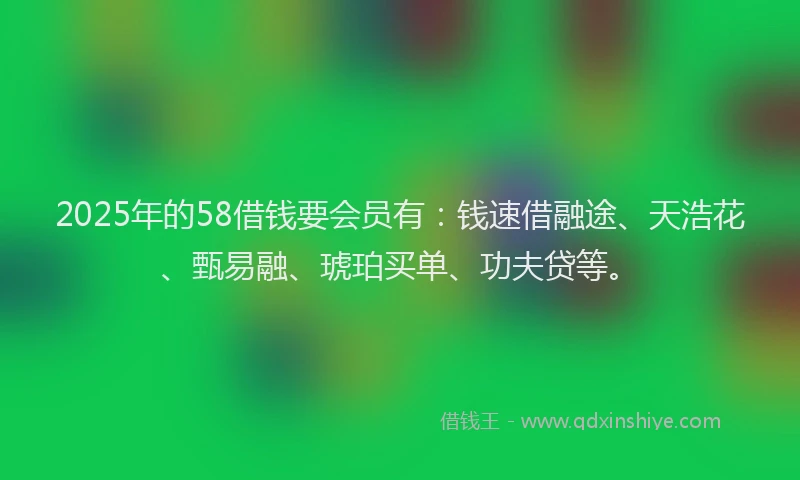 2025年的58借钱要会员有：钱速借融途、天浩花、甄易融、琥珀买单、功夫贷等。