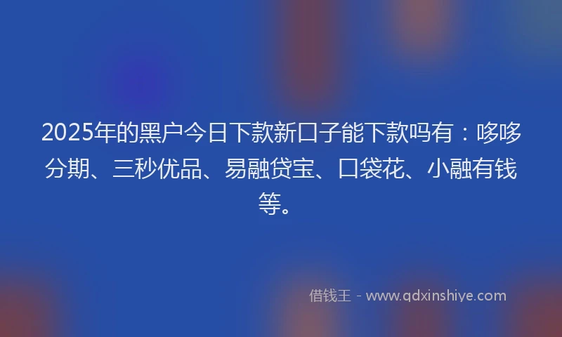 2025年的黑户今日下款新口子能下款吗有：哆哆分期、三秒优品、易融贷宝、口袋花、小融有钱等。