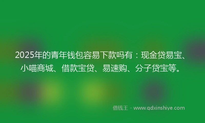 2025年的青年钱包容易下款吗有：现金贷易宝、小喵商城、借款宝贷、易速购、分子贷宝等。
