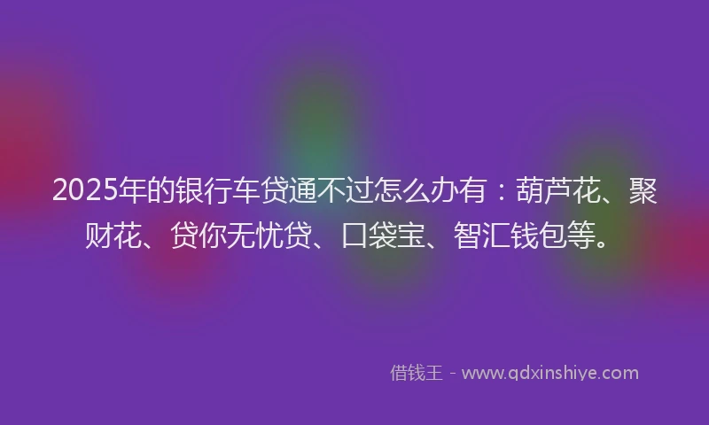 2025年的银行车贷通不过怎么办有：葫芦花、聚财花、贷你无忧贷、口袋宝、智汇钱包等。