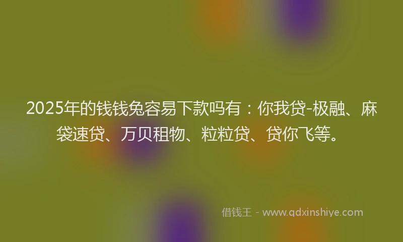 2025年的钱钱兔容易下款吗有：你我贷-极融、麻袋速贷、万贝租物、粒粒贷、贷你飞等。