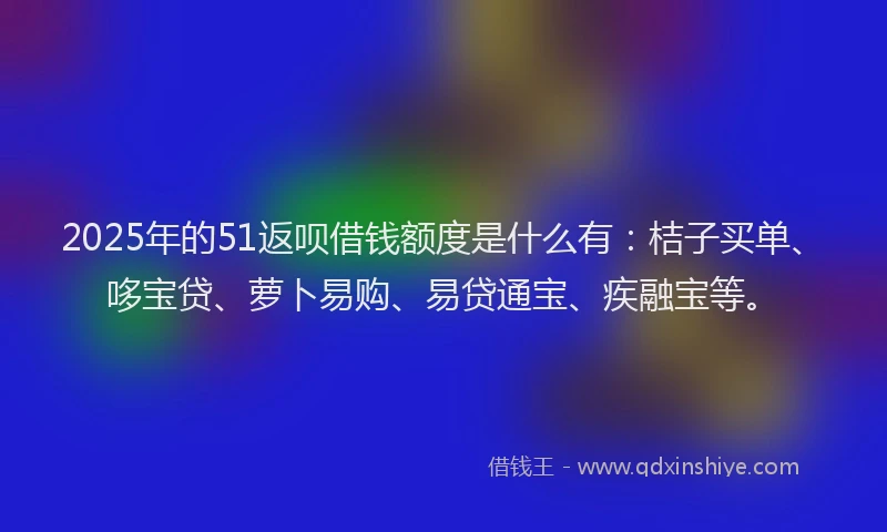 2025年的51返呗借钱额度是什么有：桔子买单、哆宝贷、萝卜易购、易贷通宝、疾融宝等。
