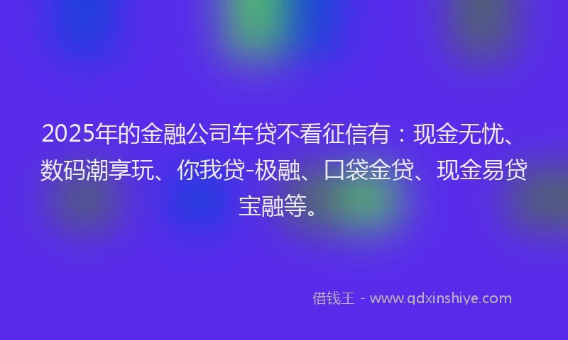 2025年的金融公司车贷不看征信有：现金无忧、数码潮享玩、你我贷-极融、口袋金贷、现金易贷宝融等。