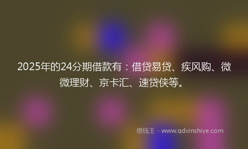 2025年的24分期借款有：借贷易贷、疾风购、微微理财、京卡汇、速贷侠等。