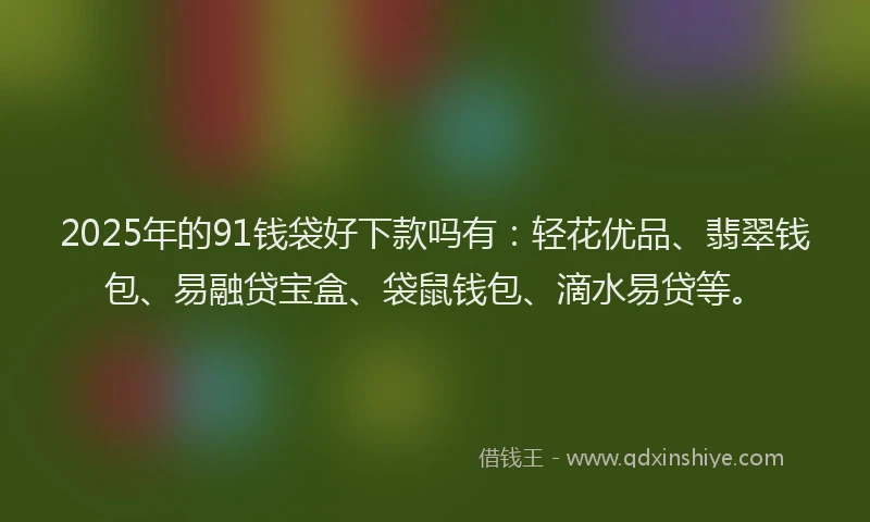 2025年的91钱袋好下款吗有：轻花优品、翡翠钱包、易融贷宝盒、袋鼠钱包、滴水易贷等。