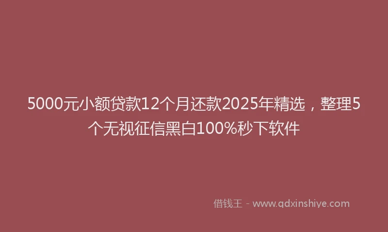 5000元小额贷款12个月还款2025年精选，整理5个无视征信黑白100%秒下软件