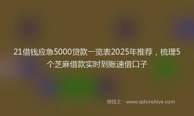21借钱应急5000贷款一览表2025年推荐，梳理5个芝麻借款实时到账速借口子