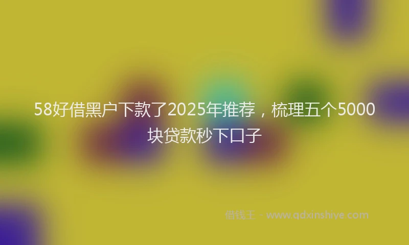 58好借黑户下款了2025年推荐，梳理五个5000块贷款秒下口子