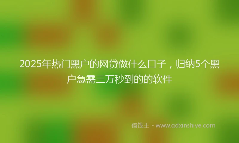 2025年热门黑户的网贷做什么口子，归纳5个黑户急需三万秒到的的软件