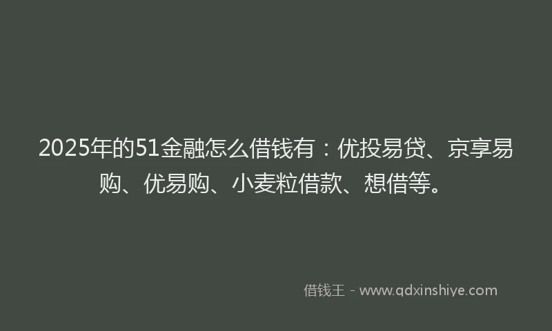 2025年的51金融怎么借钱有：优投易贷、京享易购、优易购、小麦粒借款、想借等。