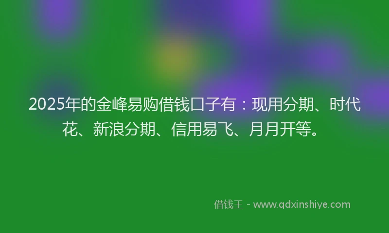 2025年的金峰易购借钱口子有：现用分期、时代花、新浪分期、信用易飞、月月开等。