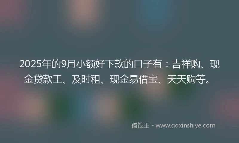 2025年的9月小额好下款的口子有：吉祥购、现金贷款王、及时租、现金易借宝、天天购等。
