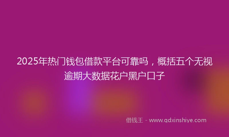 2025年热门钱包借款平台可靠吗，概括五个无视逾期大数据花户黑户口子