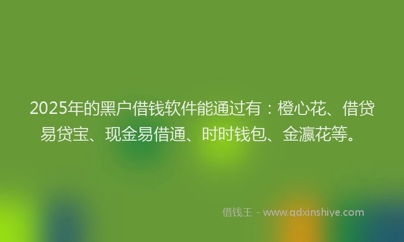 2025年的黑户借钱软件能通过有：橙心花、借贷易贷宝、现金易借通、时时钱包、金瀛花等。