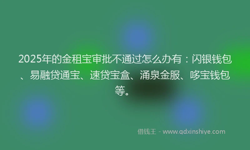 2025年的金租宝审批不通过怎么办有:闪银钱包、易融贷通宝、速贷宝盒、涌泉金服、哆宝钱包等。