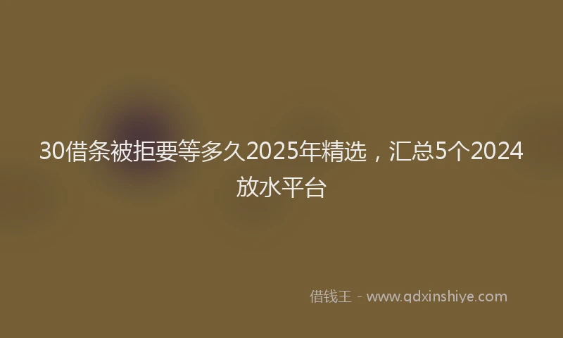 30借条被拒要等多久2025年精选，汇总5个2024放水平台