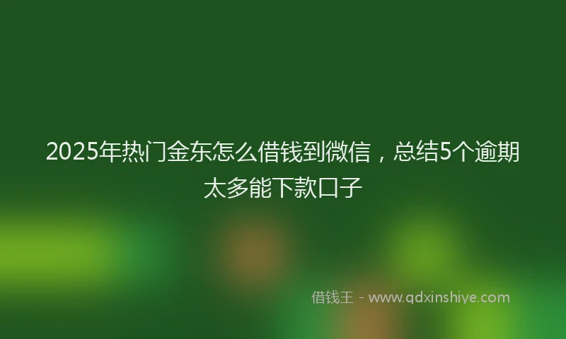 2025年热门金东怎么借钱到微信，总结5个逾期太多能下款口子