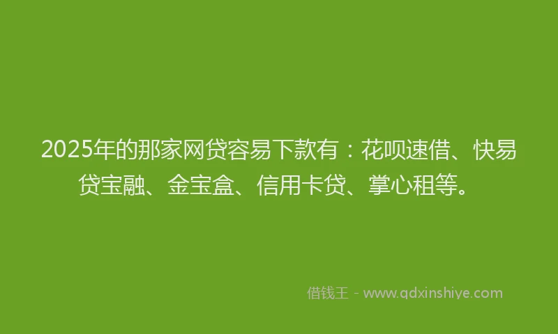 2025年的那家网贷容易下款有：花呗速借、快易贷宝融、金宝盒、信用卡贷、掌心租等。
