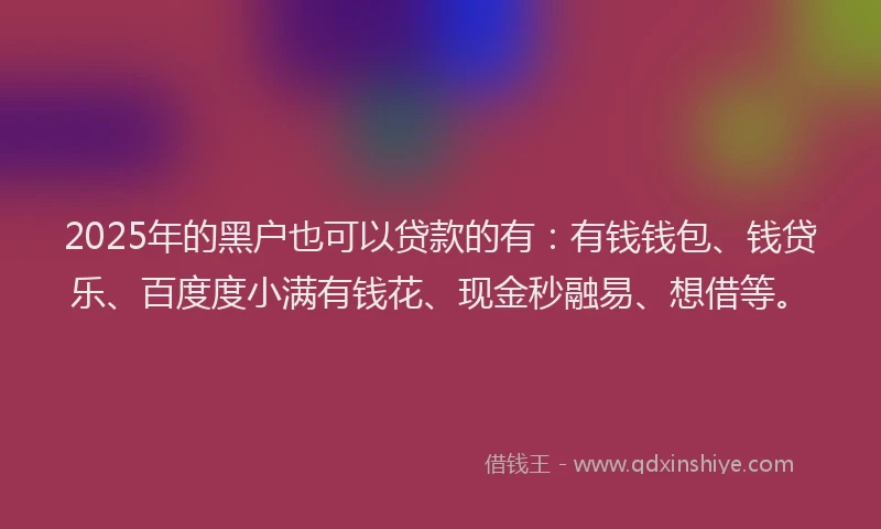 2025年的黑户也可以贷款的有：有钱钱包、钱贷乐、百度度小满有钱花、现金秒融易、想借等。