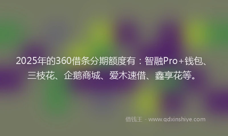 2025年的360借条分期额度有：智融Pro+钱包、三枝花、企鹅商城、爱木速借、鑫享花等。