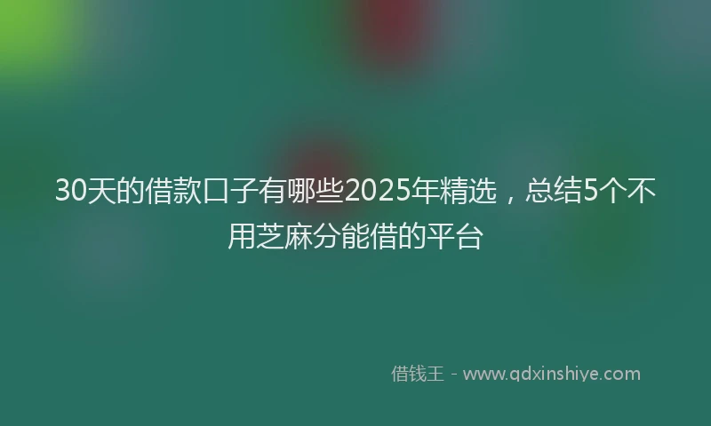 30天的借款口子有哪些2025年精选，总结5个不用芝麻分能借的平台