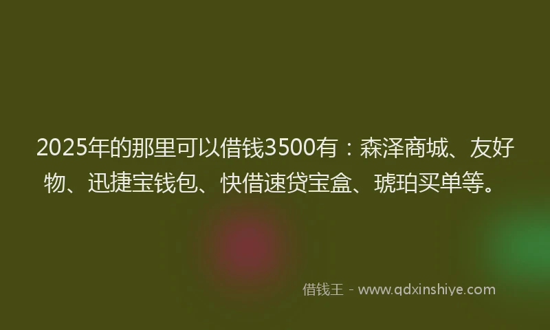 2025年的那里可以借钱3500有：森泽商城、友好物、迅捷宝钱包、快借速贷宝盒、琥珀买单等。