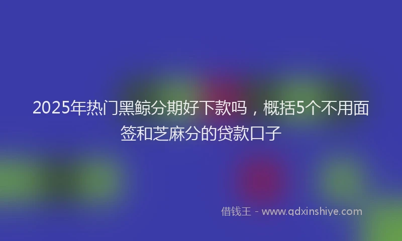2025年热门黑鲸分期好下款吗，概括5个不用面签和芝麻分的贷款口子